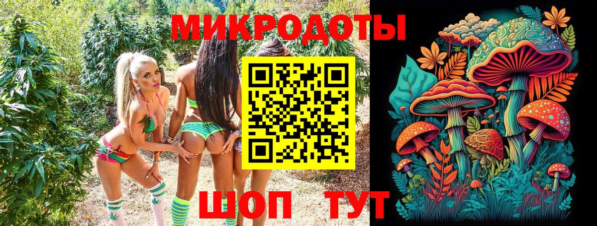 Псилоцибиновые грибы Psilocybine cubensis Тольятти